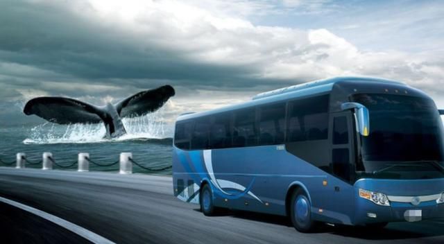  公交车：为什么客车多一个小孩子就违规，而公交车人挤人却不算