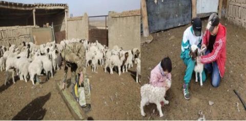  『宅在家中』阿克塞多样方式庆祝“纳吾热孜节”