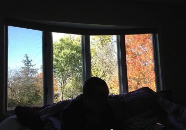 太巧了！这些偶然拍到照片，会让你产生错觉