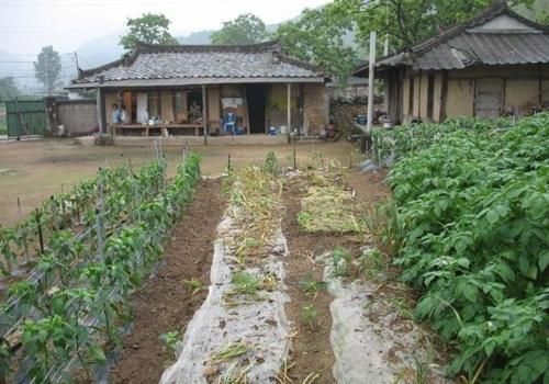  「面子」为什么有些农村人喜欢把房子建造在公路两边？这样更有