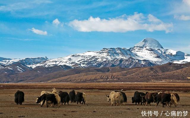 没有珠穆朗玛峰高却至今无人敢攀登，冈仁波齐的背景大有来历