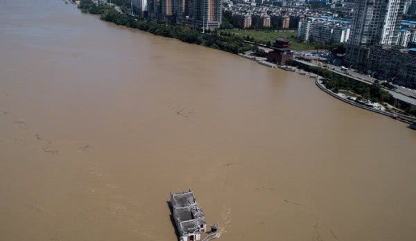 湖北现最牛“钉子户”，扎根长江700年，洪水中屹立不倒