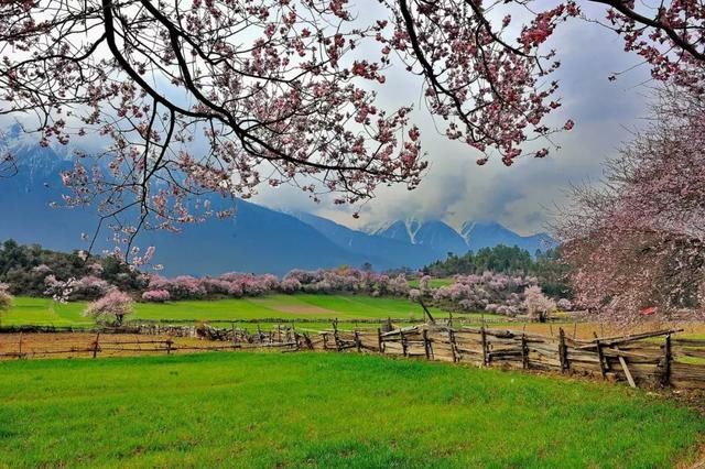 三月，去看中国最美春光