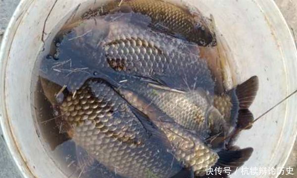  『不见』野塘水底淤泥厚，只见鱼星不见咬钩，可以试试这几招，立马见效！