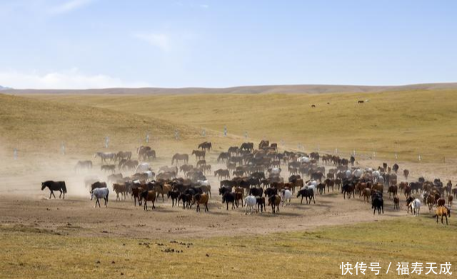 亚洲最大、世界第二大的军马场，竟是霍去病征战匈奴时发现的