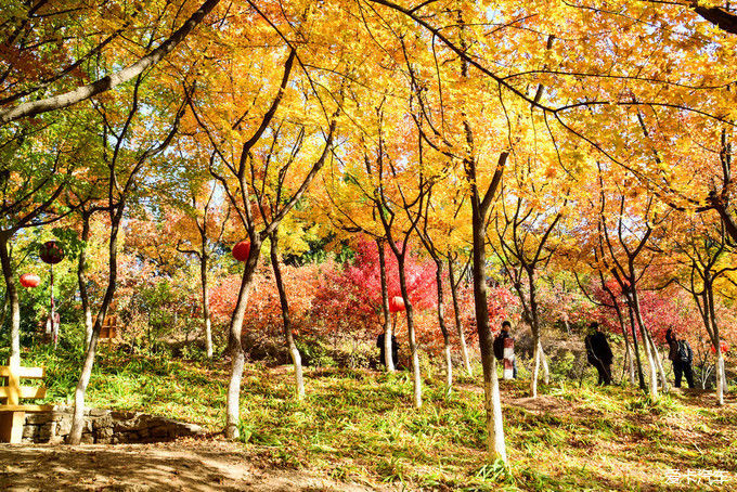 红遍万山的红叶谷【2020热门旅游景点】
