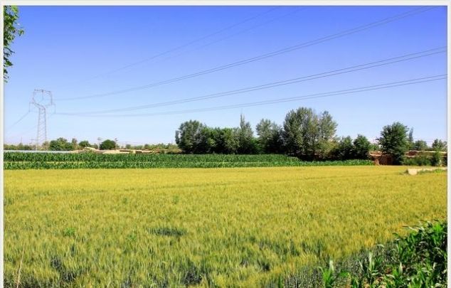  【农民】进城农民不再强制退出宅基地，新土地法呈现7大亮点惠及