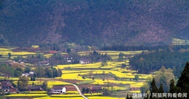 陕西又一“新星”崛起，GDP增速超西安，未来发展不可估量