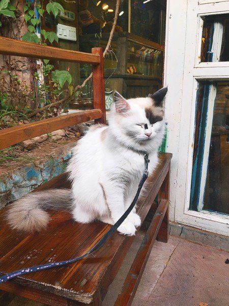 择一城终老，必是张家界与凤凰