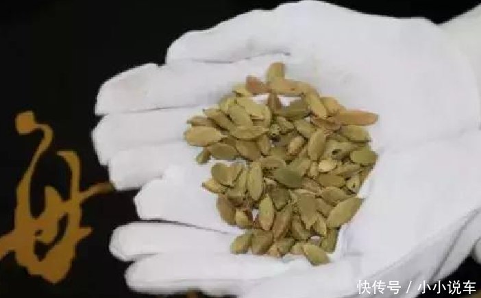 去香港澳门旅游要注意，这些“特产”别带回来，可能会有“麻烦”