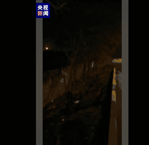 乌克兰坠毁客机黑匣子已找到