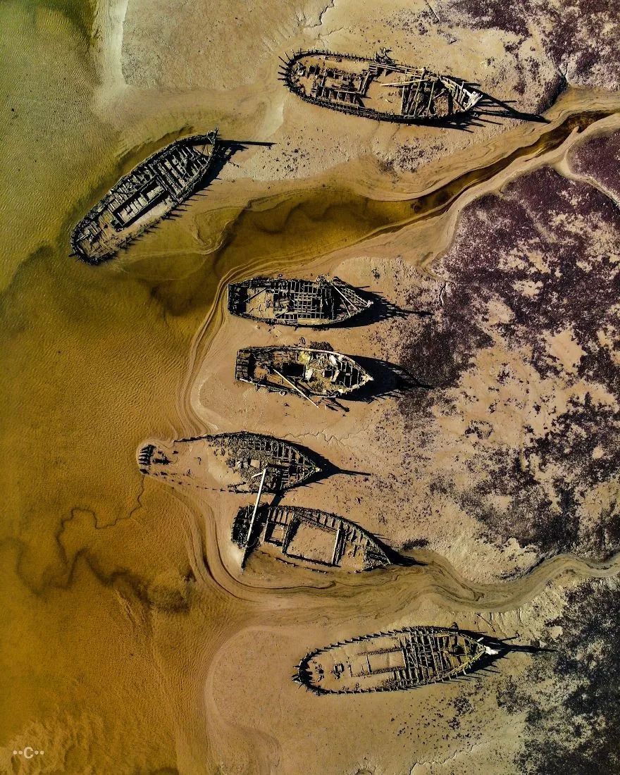 9 个月，130000 张照片，这个摄影奖公布了最终入围作品