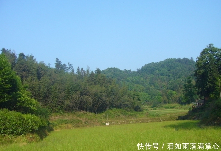  取消|7月起，农村将取消9年义务教育，实行15年免费教育？这是真