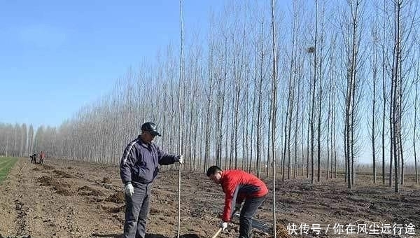 农村“进城潮”才刚刚开始，未来十年，农民群众还会面临3个问题