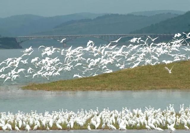 浙江打通“两山”通道 助力长江经济带绿色发展