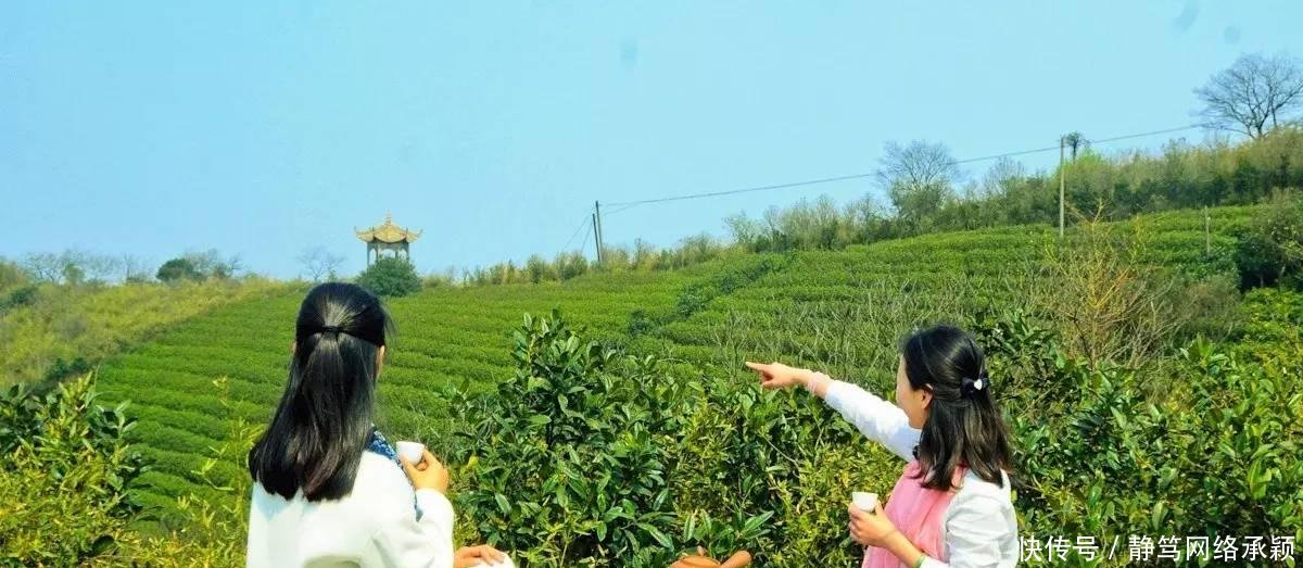 这座低调小城承包了浙江最美的春天, 清明去过两三天乡下生活~