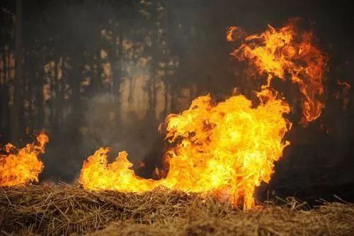 秸秆现在让烧了！以前烧秸秆罚的钱给退不？