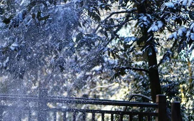 飙拢“川西咽喉”耍雪，打卡无边池的网红云海，元旦就去这！