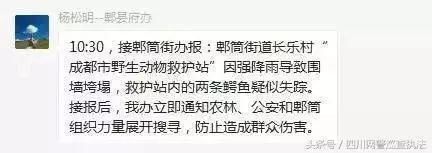 转发！这些暴雨中的谣言不能再坑人了！