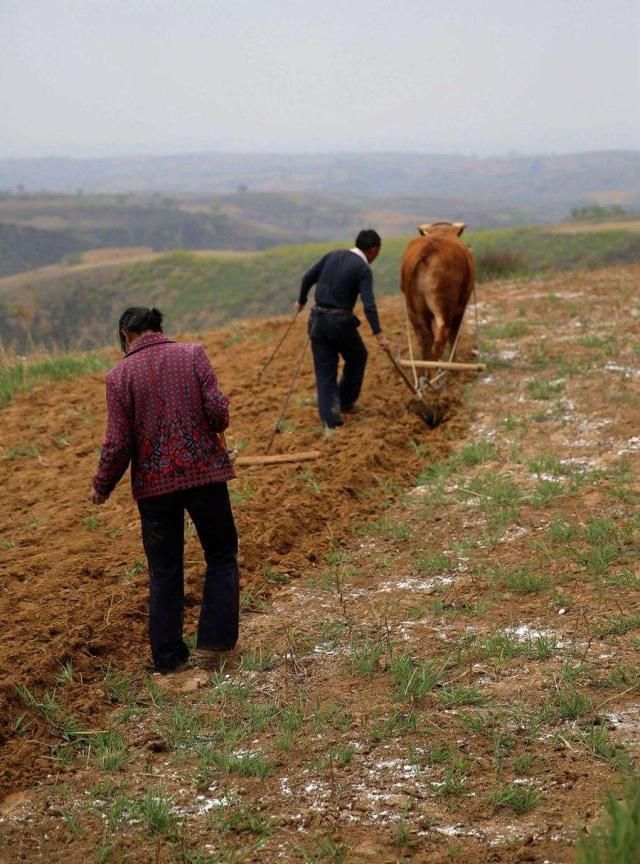 身份证69-79年的农民，未来这5大难题“逃不掉”，农民：很现实