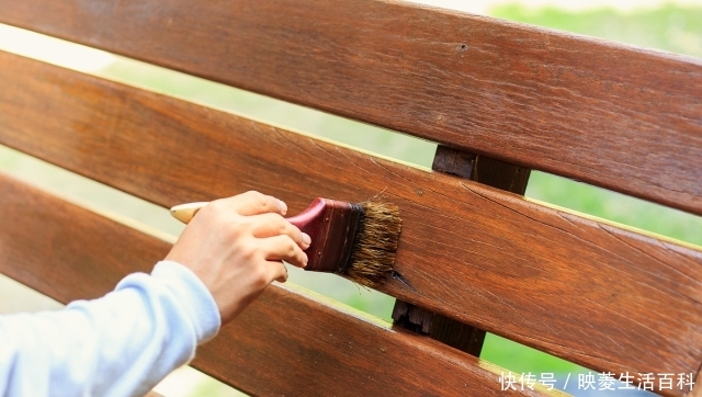  #上漆#这种树叫做“油桐树”，山里人用它给棺材上漆，种子曾卖5