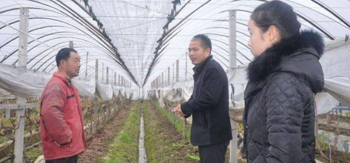  「中招」农村新骗局针对农村农业大户，有不少人已中招