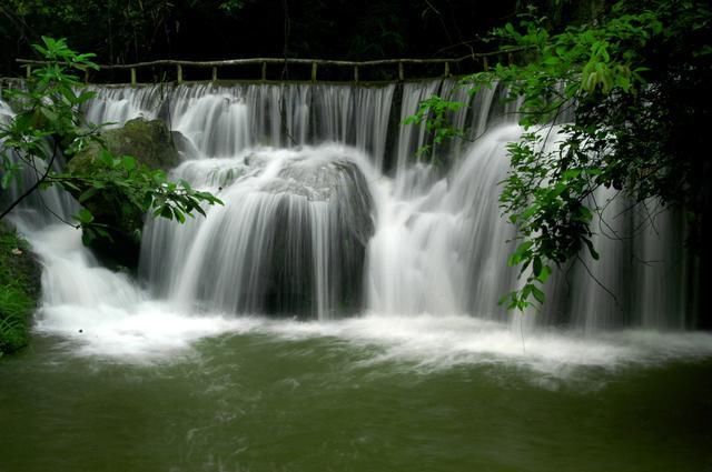 广西藤县黎寨蝴蝶谷景区简介