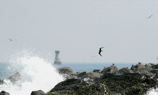 朋友圈流传的这些都是假的，只有它是真的……