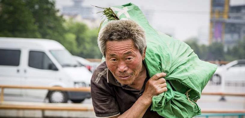未来几年,农村将涌现3个“聚宝盆”,有人已经赚到钱,不妨试试
