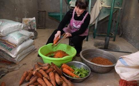  王大妈|河南农村夫妇养蜗牛20万只，每斤10元，年收入10多万元