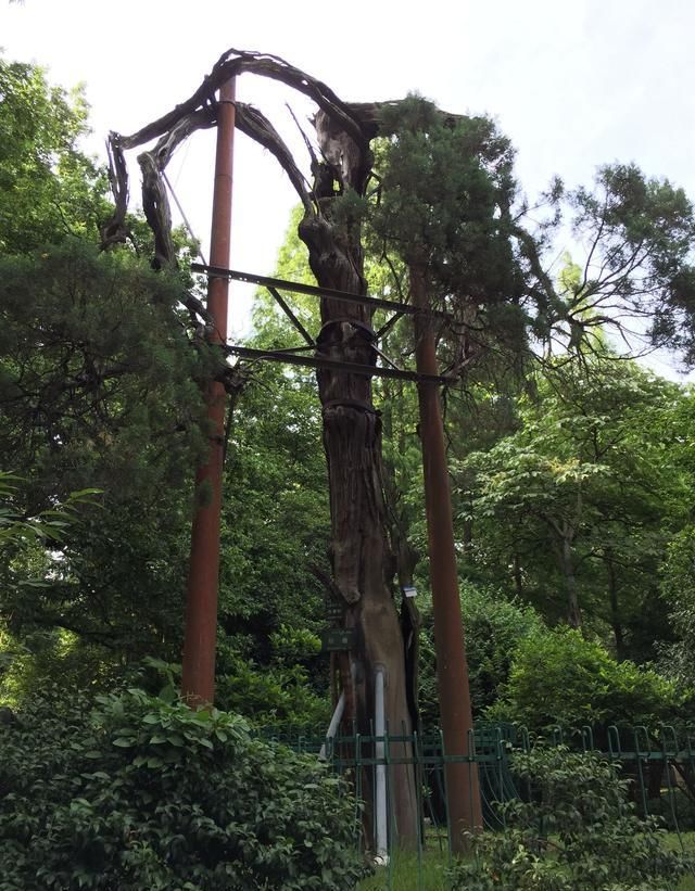  富得流油|我国这个省份因为太强悍了，后被一分为三，如今个个富