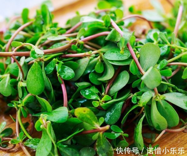 "nlabel":"stat_3125249414:zm.news.so.com:5Luo5LiJ5pCe56yR6K+0清明前后最适合吃的4种野菜,清热解毒,错过要再等一年!