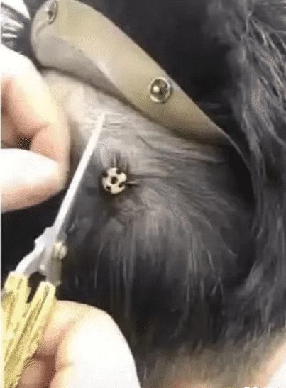  『男朋友』女生找男朋友一定要瞪大双眼看仔细了！我笑的快不行了，哈哈哈哈哈哈哈
