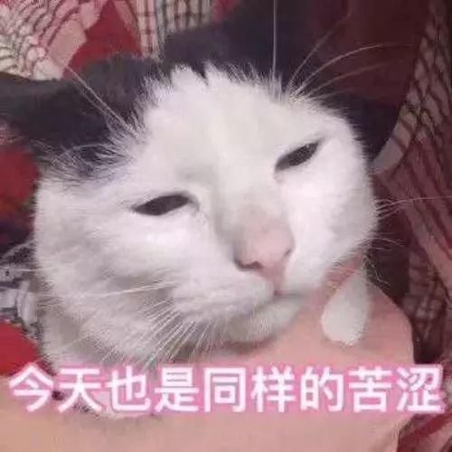 『护肤品』好用到炸裂的美容油，第五款直接拯救了我的烂脸！
