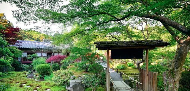  『设计师』庭院设计师最钟爱的花草, 选对了, 自己轻松做花园, 美到不行!