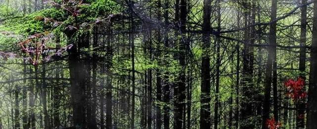  【区号】四川这三座“明星”城市，城市的区号已经统一，城市合