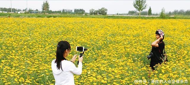 农民想致富可以考虑这几个项目, 有人已经赚疯了!