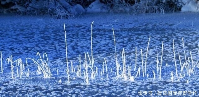  『大幅度降温』钓鱼：降温、下雨后，鱼情就差？