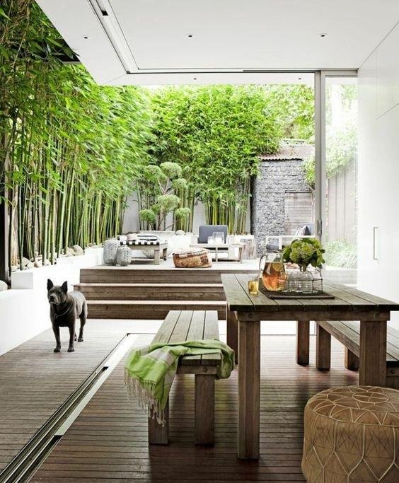 庭院竹子50张图告诉你，花园里种竹子有多高大上，气质瞬间提升