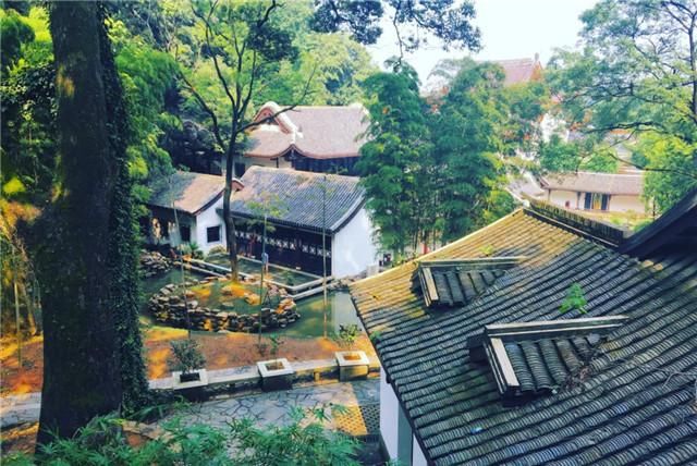 中国最“值得一去”的5A景区, 一年亏损上亿元, 却坚持不收门票!