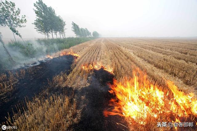 农村地区禁止焚烧秸秆引热议！农民喊话专家：把农作物也禁了吧！