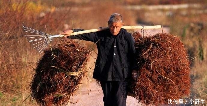 有偿退出宅基地遇冷? 用宅基地能换几十万, 为啥农民还不愿意?