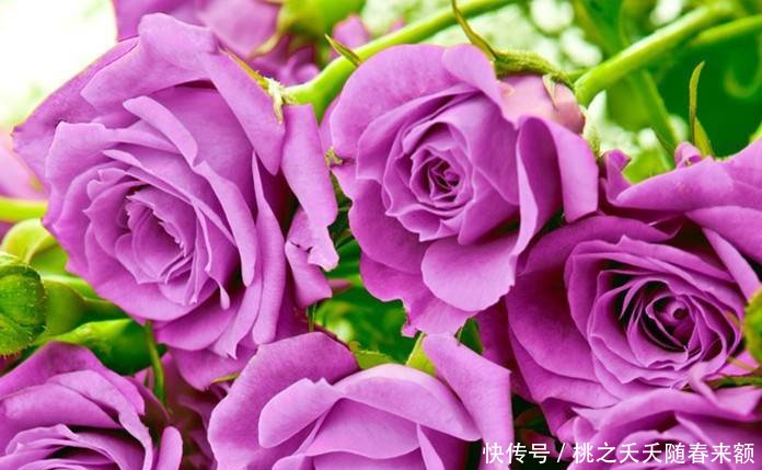 「精致」素颜也漂亮的三个生肖女，不化妆也能上街，五官精致十分耐看