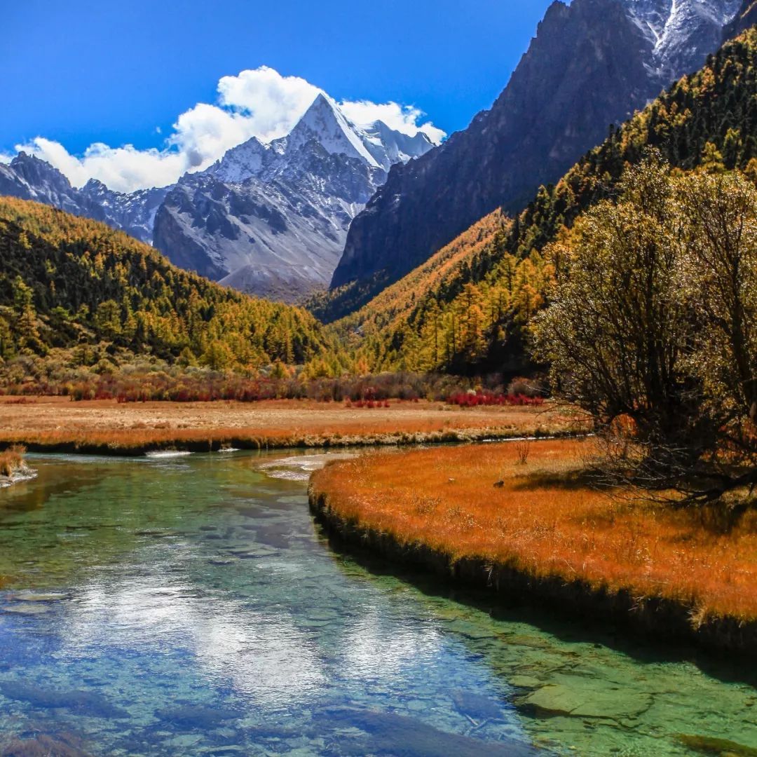 坐飞机去拉萨的时候，你沿途会看到什么？