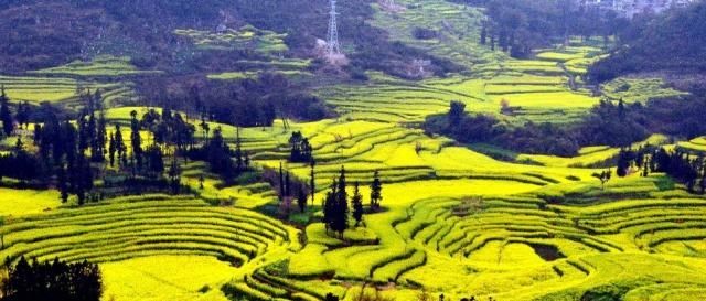 国内入春自驾游最美的地方！冷门但绝美，人迹稀少的最佳景点