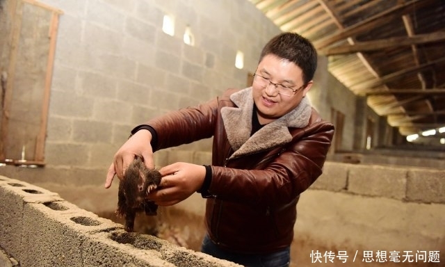  小孙@80后男子放弃高薪，回老家投资35万养“稀罕物”，年入200