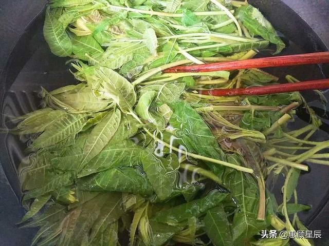  『香椿芽』这菜最适合春天吃，4种方法做，升阳暖胃好舒服还香，比补药好