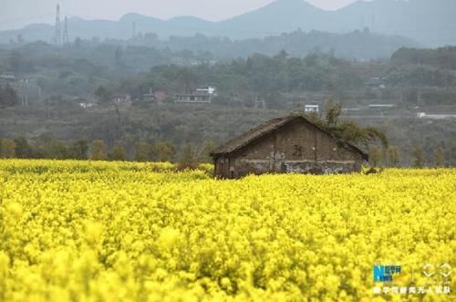 [风景]重磅规划首次亮相！重庆要为长江画上最美的风景眼