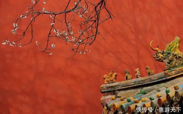 人间三月，桃红柳绿，杏花春雨，最美江南！