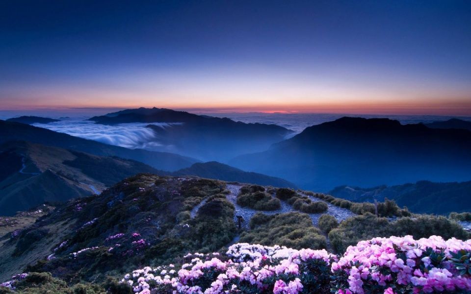 中国股市架起“多方炮”，A股极限“大V反转”，散户坐立不安